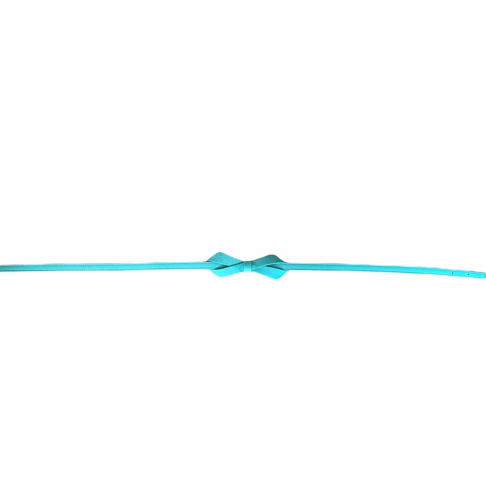 Teal Lilly Pulitzer belt